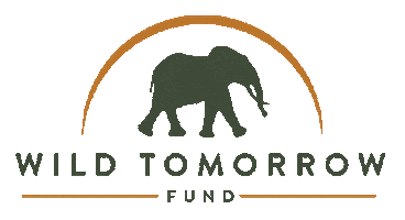 Jewelry Wtf Sticker by Wild Tomorrow Fund