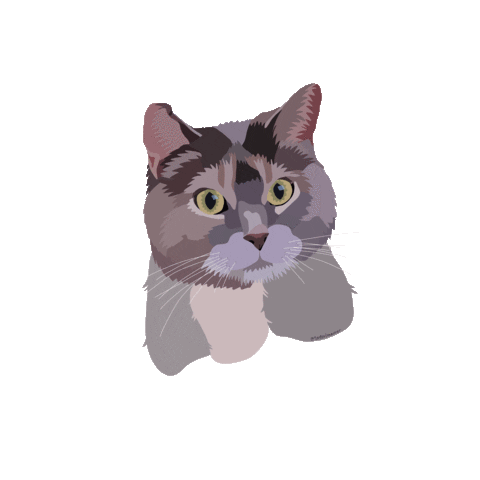 Animated Sticker