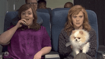 200.gif?cid=fc005b082e1d0358c1aea0488c3c7c5cb050039b81812905&rid=200.gif&ct=g