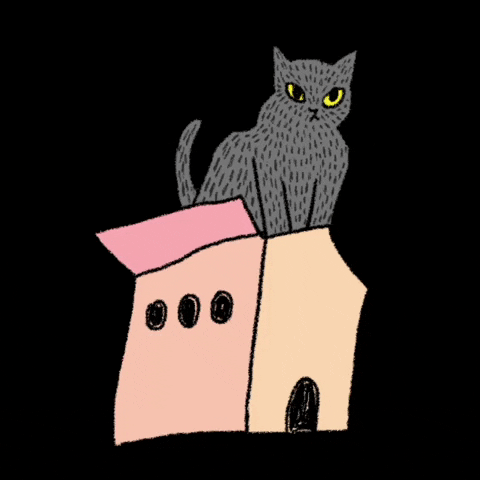 Ikeaxie_mov cat house box blackcat GIF