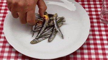 Sonidos GIF
