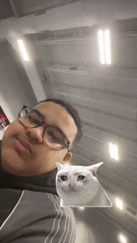 Trindyn GIF
