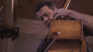 Double Bass GIF by Chris Thile