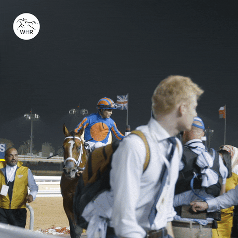 Maximum Security Whr GIF by World Horse Racing