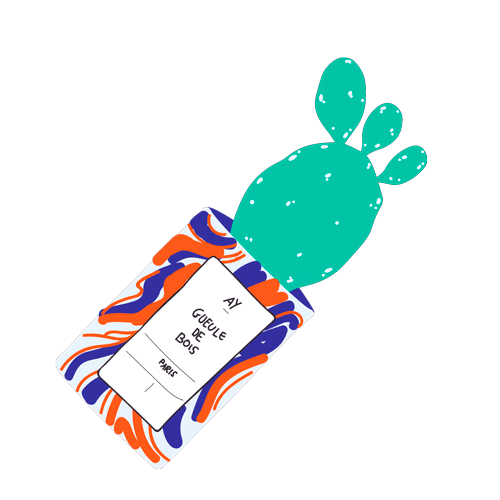 Drunk Gift Sticker by AY Cactus