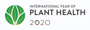YearofPlantHealth2020 GIF