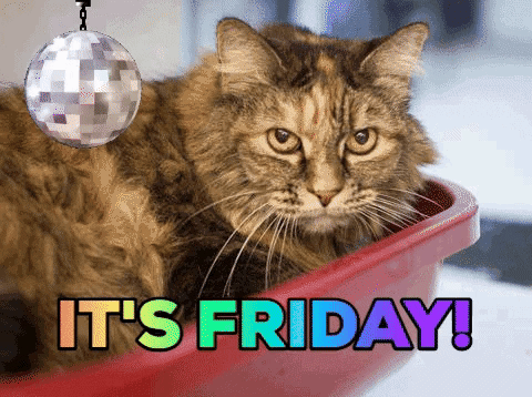 Its Friday GIF by Nebraska Humane Society - Find & Share on GIPHY Its Friday GIF by Nebraska Humane Society - Find & Share on GIPHY