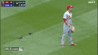 st. louis cardinals GIF by MLB