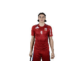 Florbal 2022 Sticker by Český florbal