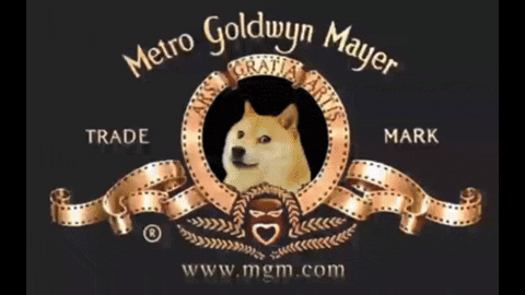Doge Dogecoin GIF thumbnail