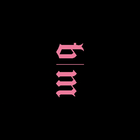 thebloodymarymagazine GIF