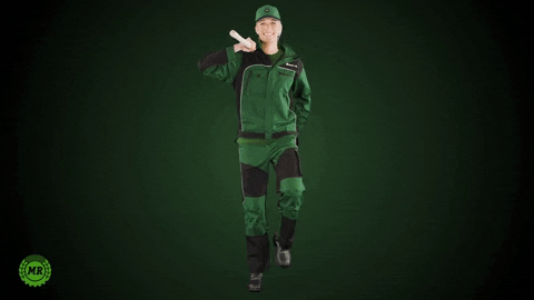 giphy.gif