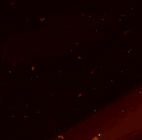 Vivara Studios GIF