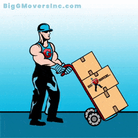 Moving Day GIF by Big G Movers