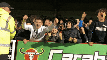 Fans Town Team Together GIF by Crawley Town FC