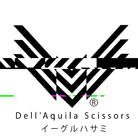 DellAquilaScissors hair barber hairstyle hairdresser GIF