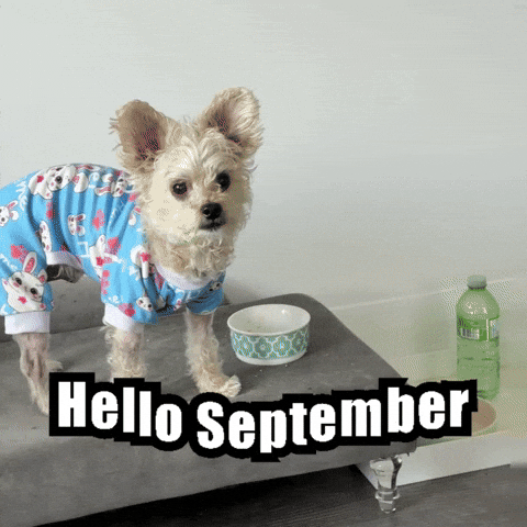 Hello September GIF