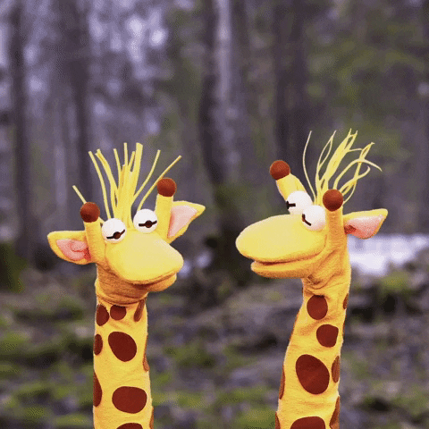 Giraffas alegria sim diversao verdade GIF
