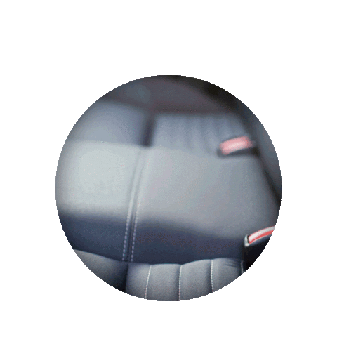 Nanoseat Sticker by Nasiol Brasil