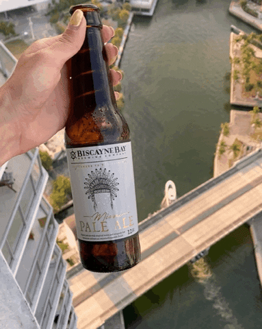 City Life Beer GIF by Biscayne Bay Brewing