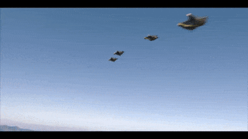 Disney GIF
