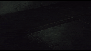 Vampire Hunter D Bloodlust 2000 GIF
