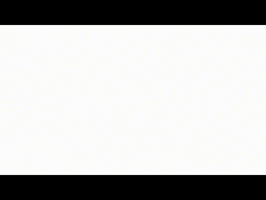Bazo GIF