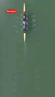 News Austria GIF by Rowing.at