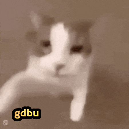 Cat Love GIF