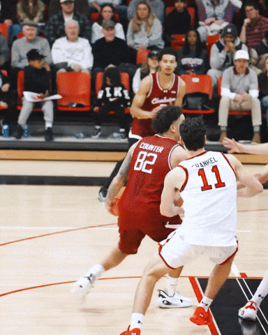 College Of Charleston Cougars GIF by Charleston Basketball