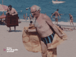 Summer Beach GIF by Fries Film & Audio Archief