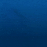 Paris Saint-Germain Psg GIF