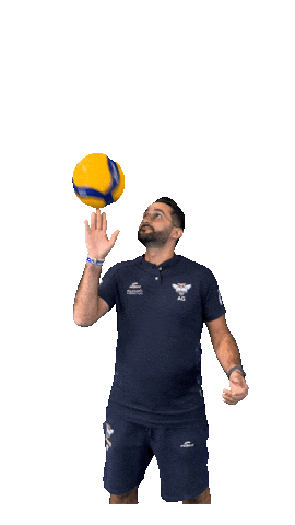 ASI Volley Sticker