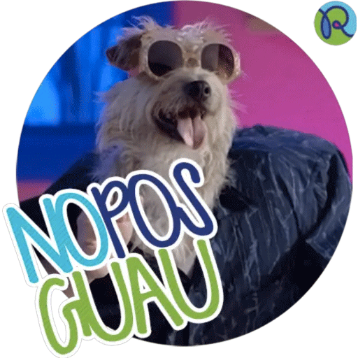 Guau Wow Sticker by Reservamos