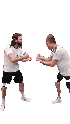 HSG Leimental Sticker