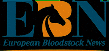 Racing Horseracing GIF by bloodstocknews