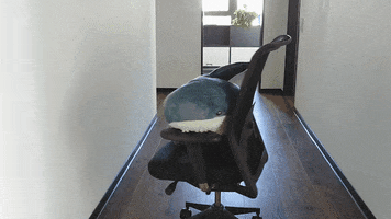 comspace office bored spinning shark GIF