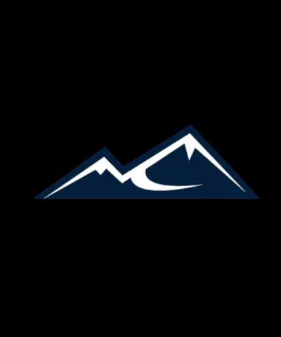 Little Switz GIF
