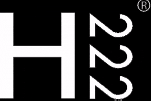 H222 Official GIF