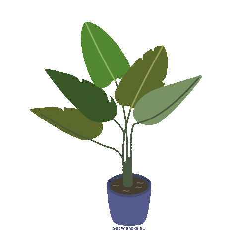 Illustration Sticker