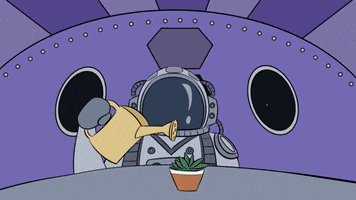 estacaolunar GIF