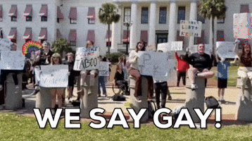 Florida Protest GIF by GIPHY News