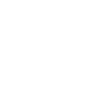 Union Wireless Sticker