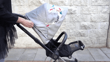 Baby GIF