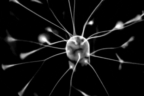 Image result for corona virus images