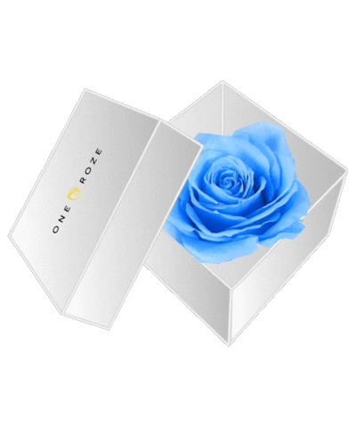 Infinity Longlasting Sticker by Oneroze