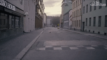 Street Road GIF by guardian