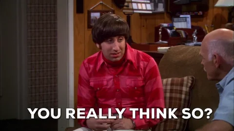 Do You Really Think So Season 5 GIF by The Big Bang Theory