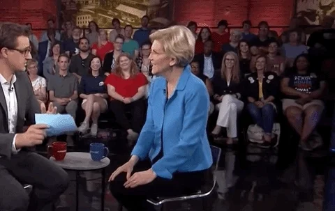 Elizabeth Warren Msnbc GIF