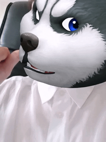 Revu GIF